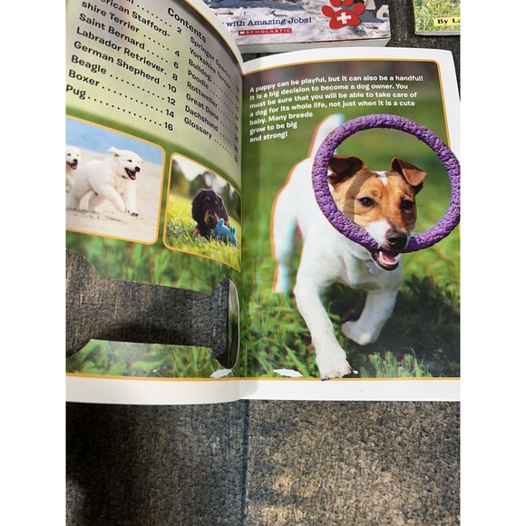 My Dog Is a Hero by Anita Ganeri, All About Dogs and Puppies Kids Paperback Book - Picture 5 of 6